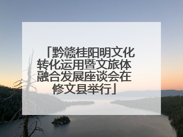 黔赣桂阳明文化转化运用暨文旅体融合发展座谈会在修文县举行