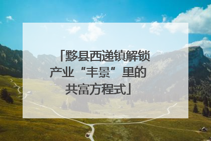 黟县西递镇解锁产业“丰景”里的共富方程式