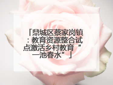 鼎城区蔡家岗镇：教育资源整合试点激活乡村教育“一池春水”