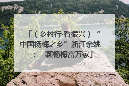 （乡村行·看振兴）“中国杨梅之乡”浙江余姚：一颗杨梅富万家