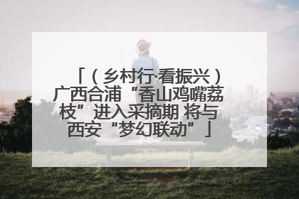 （乡村行·看振兴）广西合浦“香山鸡嘴荔枝”进入采摘期 将与西安“梦幻联动”