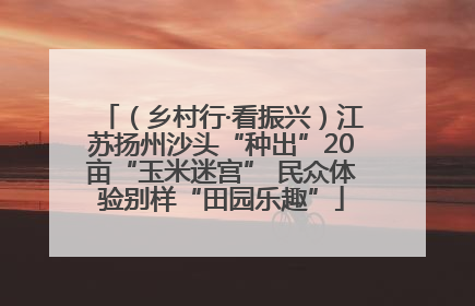 （乡村行·看振兴）江苏扬州沙头“种出”20亩“玉米迷宫” 民众体验别样“田园乐趣”