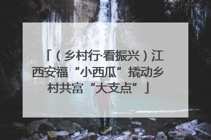 （乡村行·看振兴）江西安福“小西瓜”撬动乡村共富“大支点”
