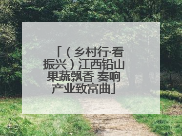 （乡村行·看振兴）江西铅山果蔬飘香 奏响产业致富曲