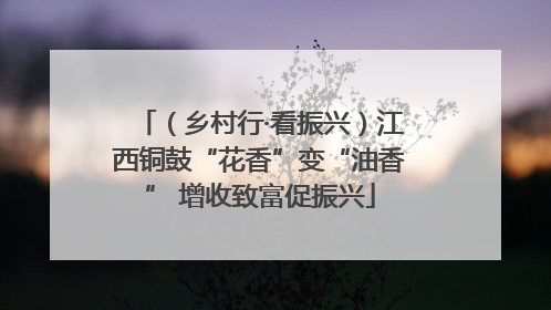 （乡村行·看振兴）江西铜鼓“花香”变“油香” 增收致富促振兴