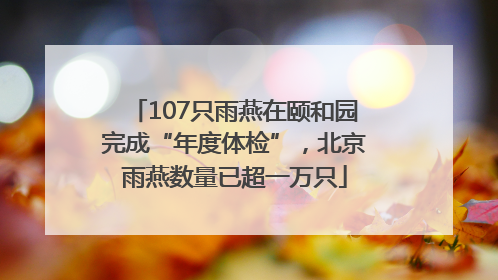 107只雨燕在颐和园完成“年度体检”，北京雨燕数量已超一万只