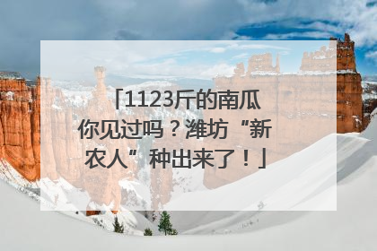 1123斤的南瓜你见过吗？潍坊“新农人”种出来了！