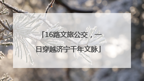 16路文旅公交，一日穿越济宁千年文脉