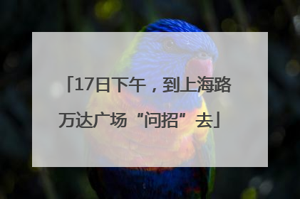 17日下午，到上海路万达广场“问招”去