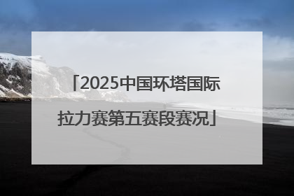 2025中国环塔国际拉力赛第五赛段赛况