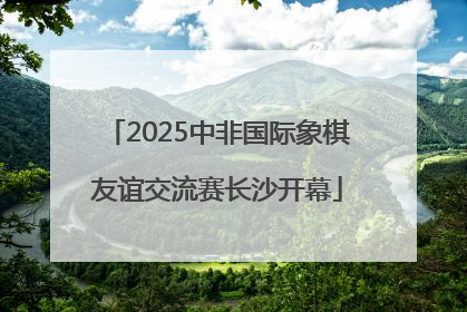 2025中非国际象棋友谊交流赛长沙开幕
