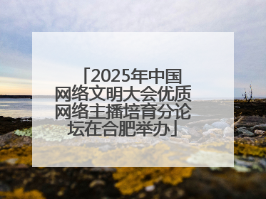 2025年中国网络文明大会优质网络主播培育分论坛在合肥举办