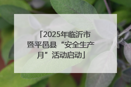2025年临沂市暨平邑县“安全生产月”活动启动