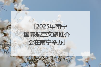 2025年南宁国际航空文旅推介会在南宁举办