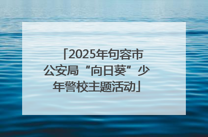 2025年句容市公安局“向日葵”少年警校主题活动