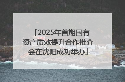 2025年首期国有资产质效提升合作推介会在沈阳成功举办