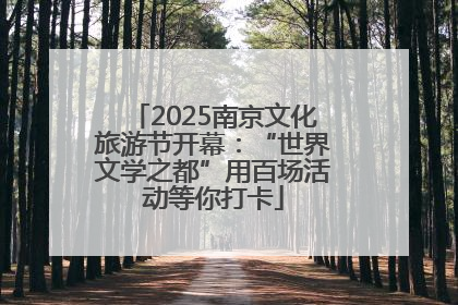 2025南京文化旅游节开幕：“世界文学之都”用百场活动等你打卡