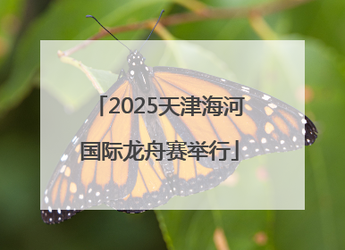 2025天津海河国际龙舟赛举行