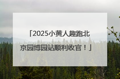 2025小黄人趣跑北京园博园站顺利收官！