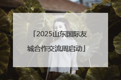 2025山东国际友城合作交流周启动