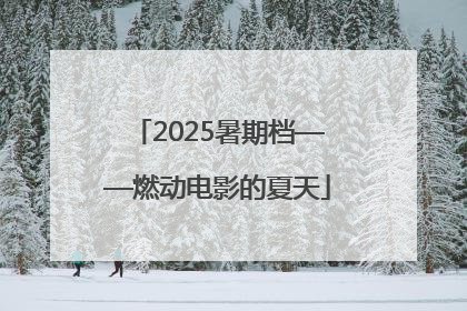 2025暑期档——燃动电影的夏天