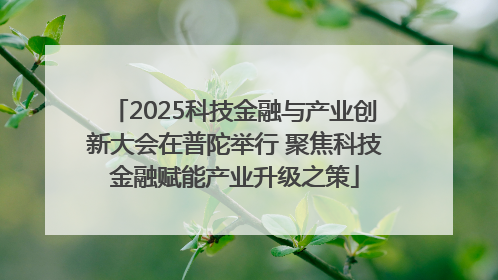 2025科技金融与产业创新大会在普陀举行 聚焦科技金融赋能产业升级之策