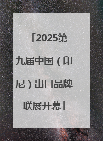 2025第九届中国（印尼）出口品牌联展开幕