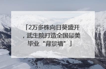 2万多株向日葵盛开，武生院打造全国最美毕业“背景墙”