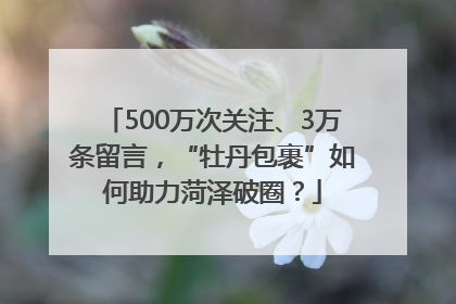500万次关注、3万条留言，“牡丹包裹”如何助力菏泽破圈？