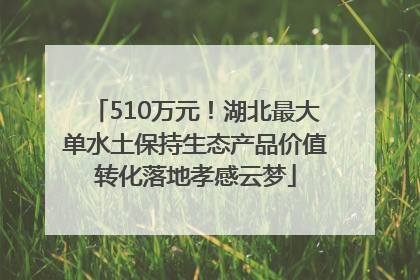 510万元！湖北最大单水土保持生态产品价值转化落地孝感云梦
