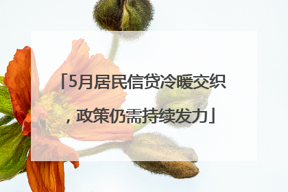 5月居民信贷冷暖交织，政策仍需持续发力